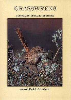 Grasswrens: Australian Outback Identities