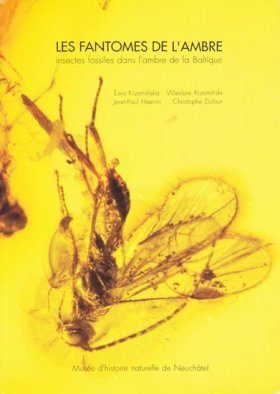 Les Fantomes de l'Ambre