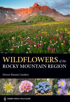 Wildflowers of the Rocky Mountains Region