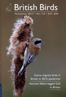 British Birds Report on Scarce Migrant Birds in Britain in 2015, Part 2: Passerines