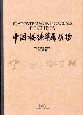Elatostema (Urticaceae) in China
