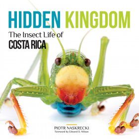 Hidden Kingdom