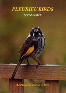 Fleurieu Birds