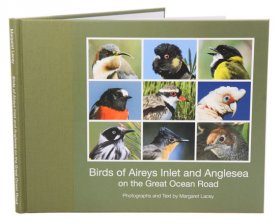 Birds of Aireys Inlet and Anglesea on the Great Ocean Road