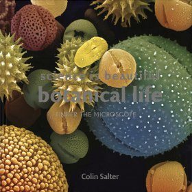 Science Is Beautiful: The Plant World