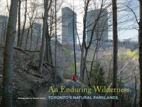 An Enduring Wilderness