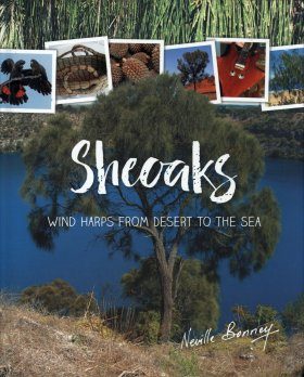 Sheoaks: Wind Harps from Desert to the Sea