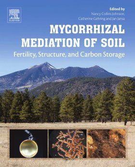Mycorrhizal Mediation of Soil