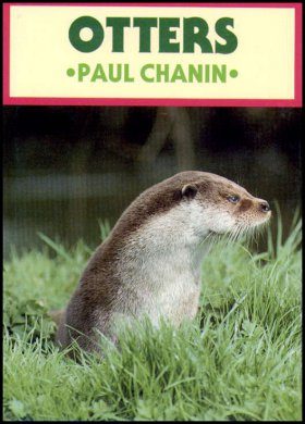 Otters
