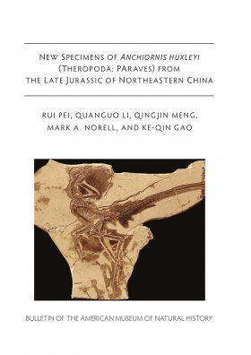 New Specimens of Anchiornis huxleyi (Theropoda, Paraves) from the Late Jurassic of Northeastern China