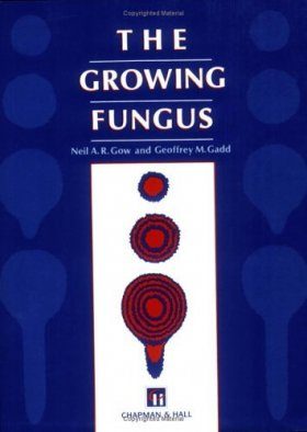 The Growing Fungus
