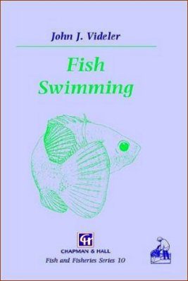 Fish Swimming