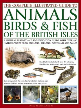 The Complete Illustrated Guide to of Animals, Birds & Fish of the British Isles