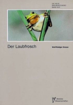 Der Laubfrosch (Hyla arborea)