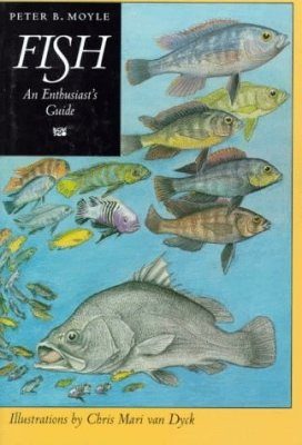 Fish: An Enthusiast's Guide