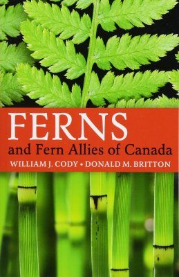 Ferns and Fern Allies of Canada