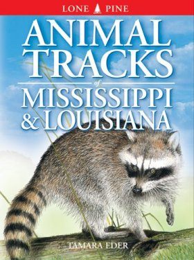 Animal Tracks of Mississippi and Louisiana