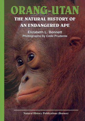Orang-Utan: The Natural History of an Endangered Ape