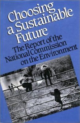 Choosing a Sustainable Future