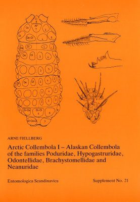Arctic Collembola I