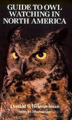 Guide to Owl Watching in North America