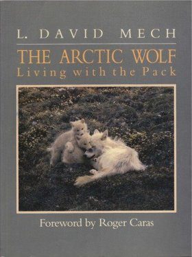 Arctic Wolf