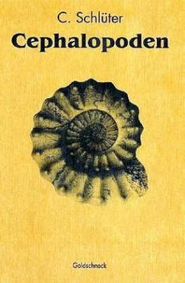 Cephalopoden der Oberen Deutschen Kreide