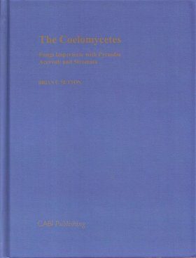 The Coelomycetes
