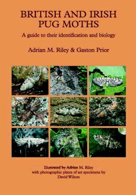 British and Irish Pug Moths: A Guide to their Identification and Biology