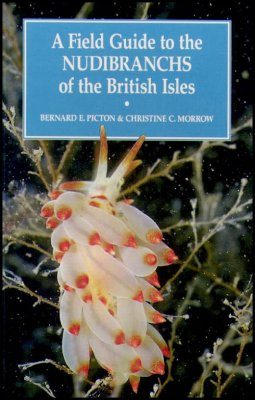 A Field Guide to the Nudibranchs of the British Isles