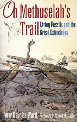 On Methuselah's Trail
