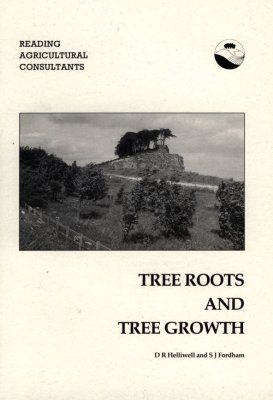 Tree Roots and Tree Growth