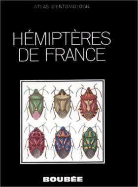 Hémiptères de France
