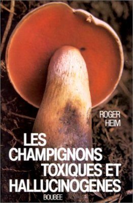 Champignons d'Europe