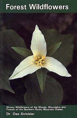Forest Wildflowers