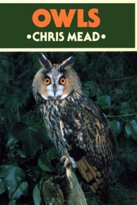 Owls