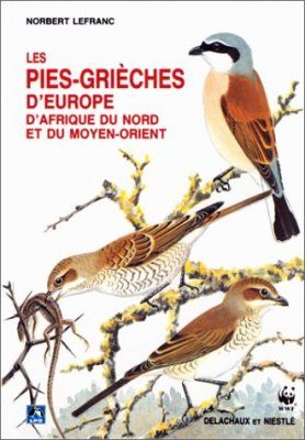 Les Pies-Grièches d'Europe, d'Afrique du Nord et du Moyen-Orient