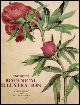 The Art of Botanical Illustration