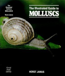 the Illustrated Guide to Molluscs