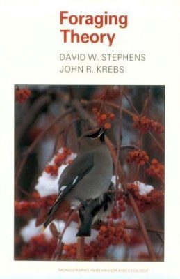 Foraging Theory