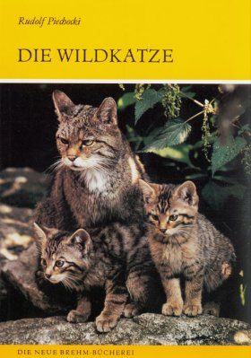 Die Wildkatze