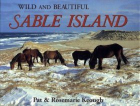 Wild and Beautiful Sable Island