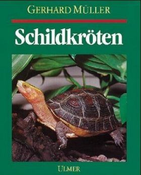 Schildkröten: Land-, Sumpf- und Wasserschildkröten im Terrarium