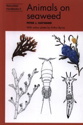 Animals on Seaweed