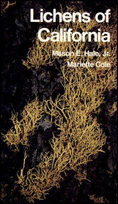 California Lichens