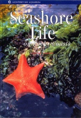Seashore Life on Rocky Coasts