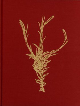 Genera of the Pottiaceae: Mosses of Harsh Environments