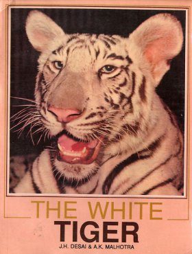 The White Tiger