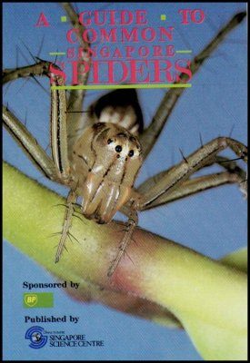 A Guide to the Common Singapore Spiders