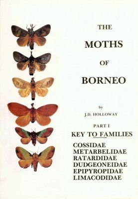 The Moths of Borneo, Part 1